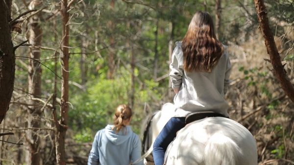Прогулка в лесу на лошадках для двоих