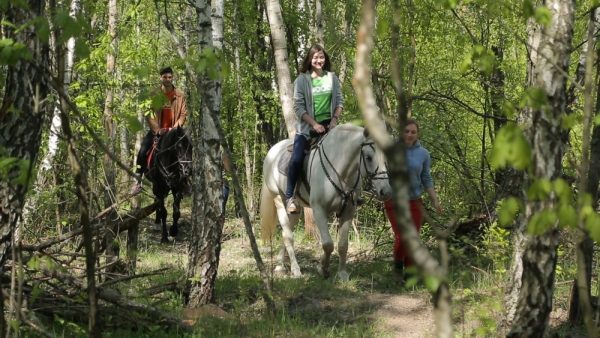 Прогулка в лесу на лошадках для двоих