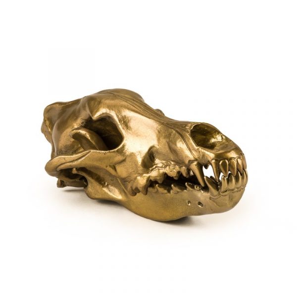 Фигура волчий череп "Diesel-wolf skull'
