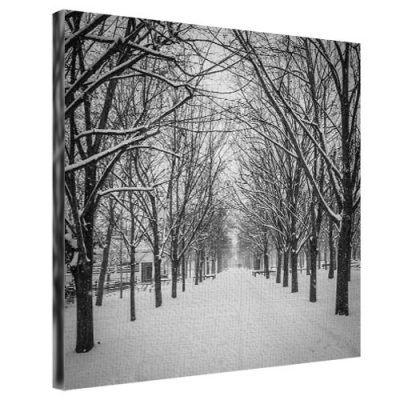 Картина на ткани, 65х65 см «Зимний парк»