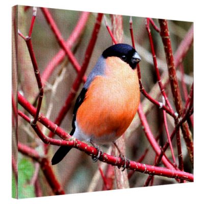 Картина на ткани, 40х50 см «Снегирь»