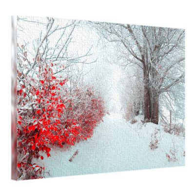 Картина на ткани, 45х65 см «Заснеженная тропа»