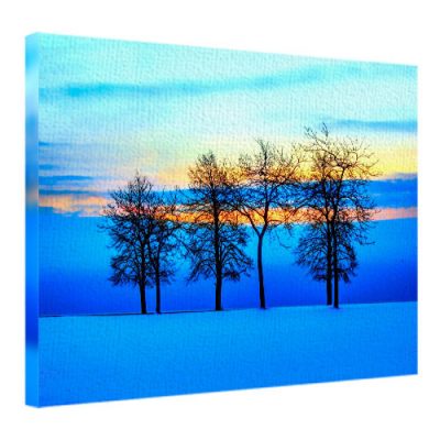 Картина на ткани, 45х65 см «Зимнее утро»