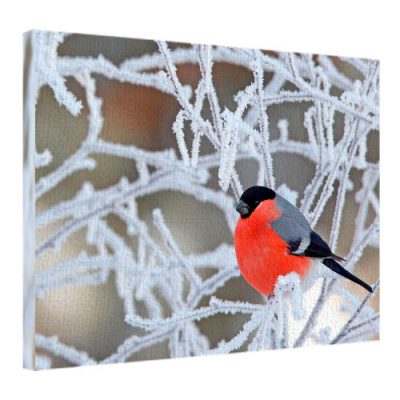 Картина на ткани, 45х65 см «Снегирь»