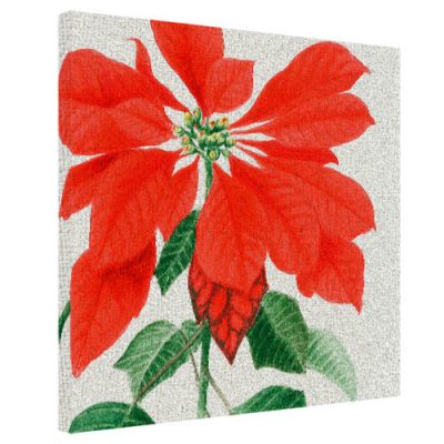 Картина на ткани, 50х50 см «Рождественник»