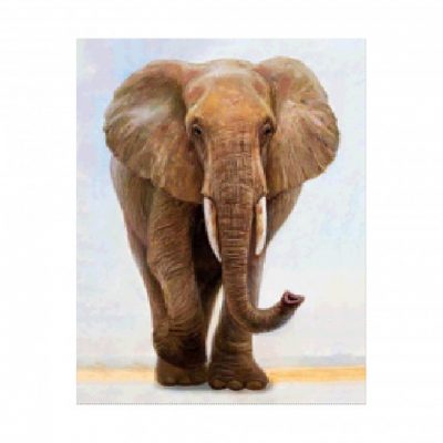 Алмазная мозаика «Величественный слон» Strateg 40х50 см