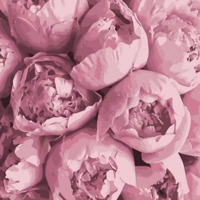 Картина по номерам «Розовая нежность» Art Craft 40х40 см